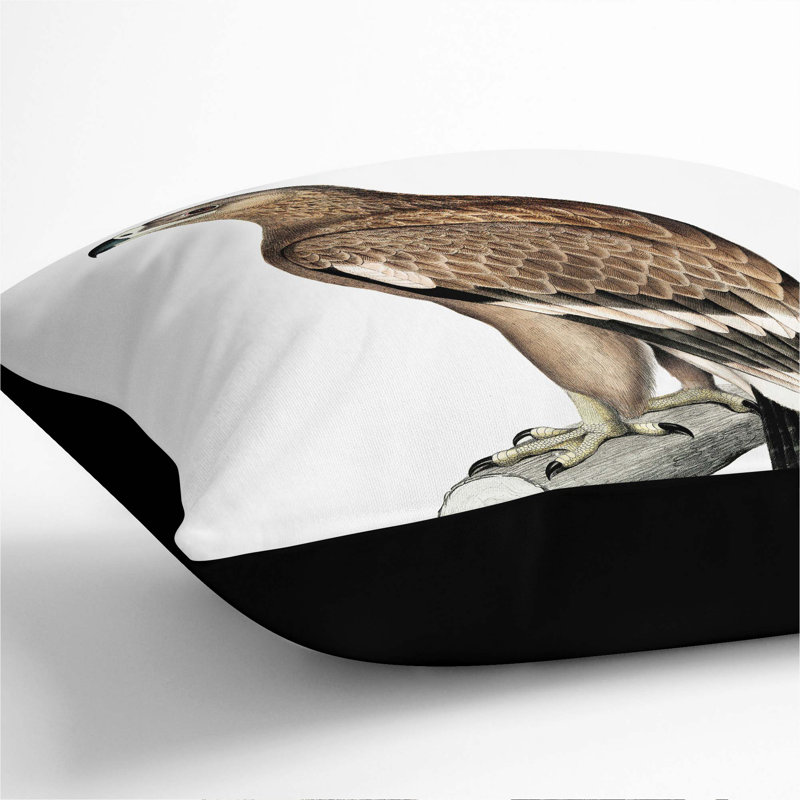 Square Cushion, 55cm H x 55cm W x 20cm D, Black