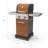 Permasteel 2-Burner Compact Propane Gas Grill with Foldable Side Tables and Grilling Tool Hooks-58108657