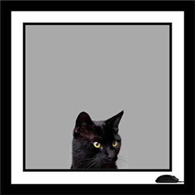 « chat et souris », reproduction de photo encadrée