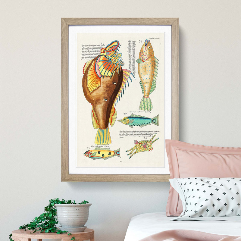 East Indies Fish Illustrations Huitieme by Louis Renard - Picture Frame Graphic Art Print, 65cm H x 48cm W x 2cm D
