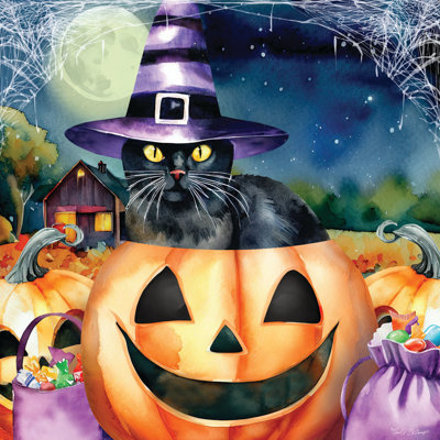 Black Cat in Pumpkin