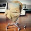 Coussin Old Sea-29342889-29342885