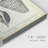 Vintage Shell Study II " Vintage Shell Study II "-230187570