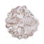 Ensemble de 6 napperons en coton matelassé Barley Coast Shells