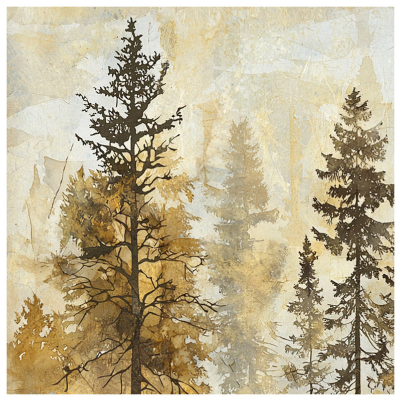 Misty Forest Landscape Blankets, L 50 po x H 60 po