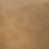 Russet selected