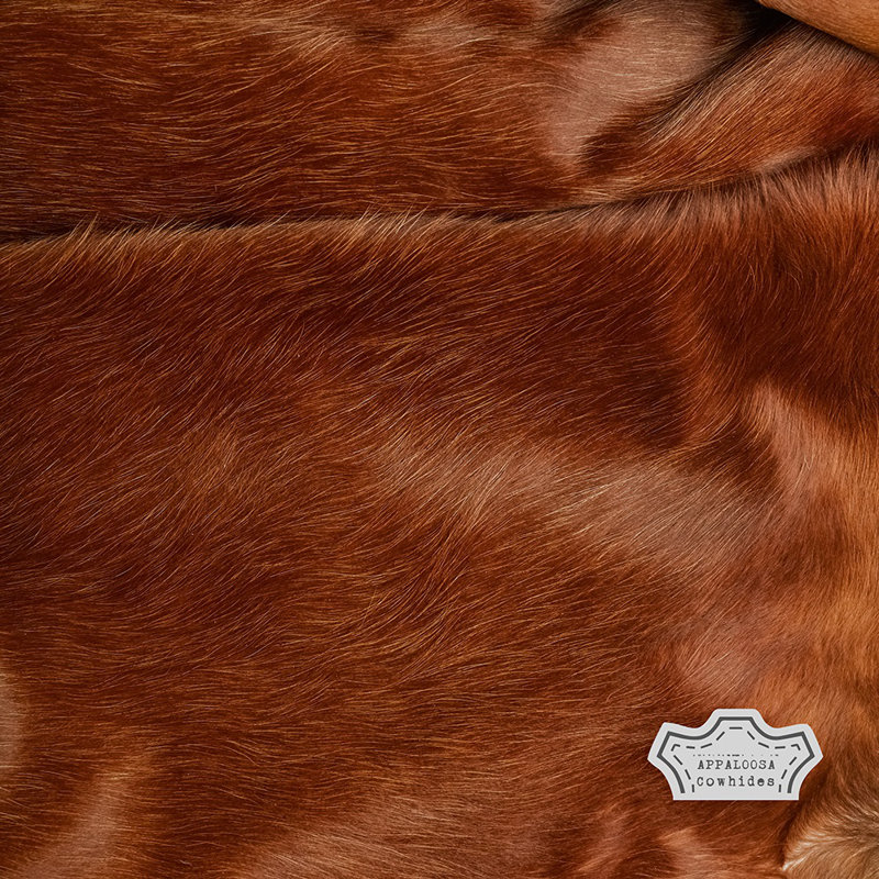 Cowhide Indoor Rug, Cowhide 6' x 7'