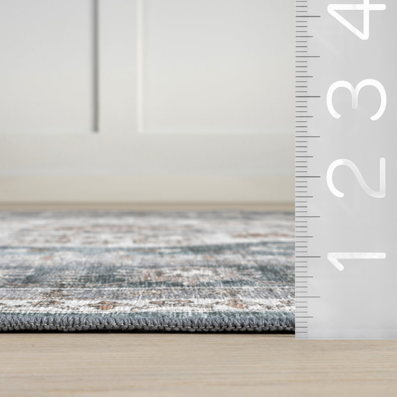 Davi Faded SplashGuard Machine Washable Area Rug, Rectangle 3' x 5'