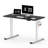 Dojtcho Home Office Adjustable Standing Desk-62270592-113909857
