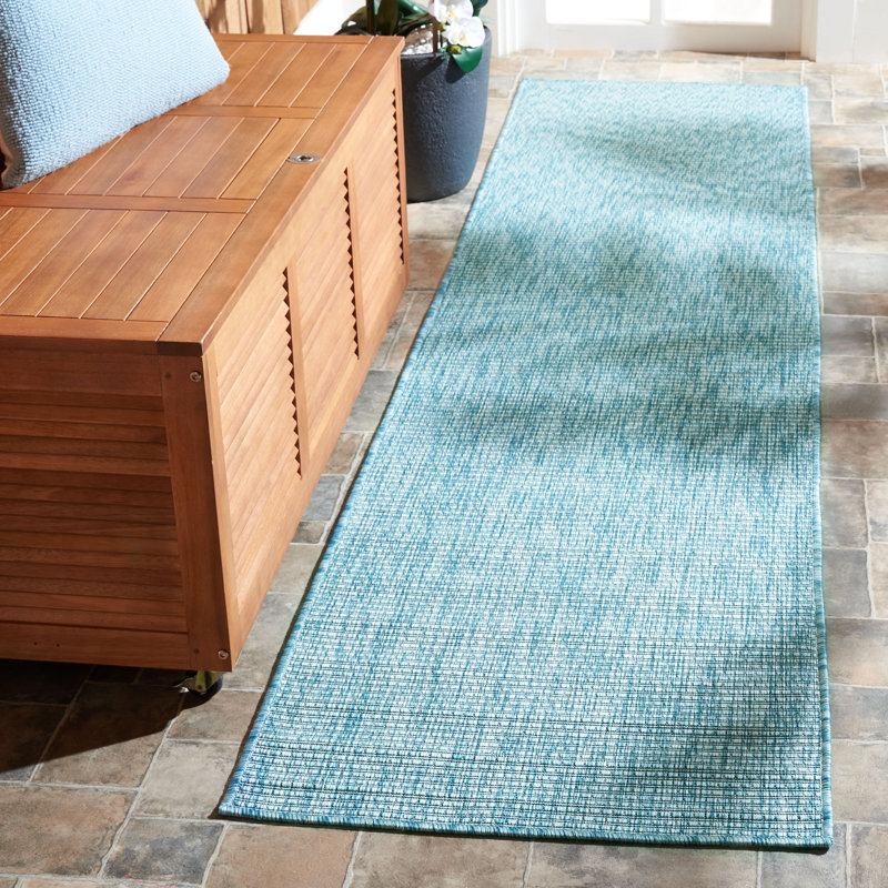 Alexondra Performance Solid Color Indoor/Outdoor Area Rug, Runner 2'2" x 9'