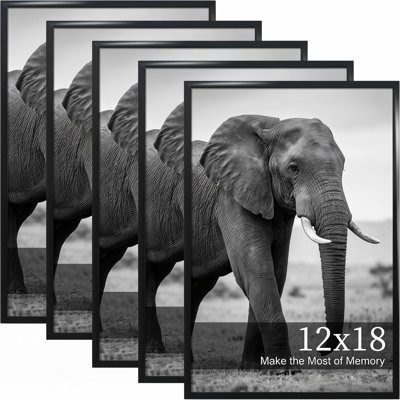 Black Gallery Wall Picture Frame - Frames Included: 5