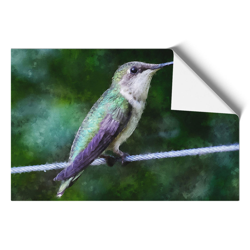 Hummingbird Painting - Frameless Print, 42cm H x 59cm W x 0.1cm D