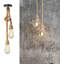 Seiling 2 - Light Cluster Pendant