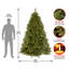 The Holiday Aisle® Winchester Pine Tree with Clear Lights-1303430151