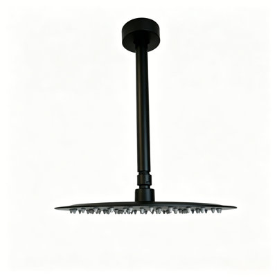 10-Inch High-Pressure Rain Shower Head With Shower Arm