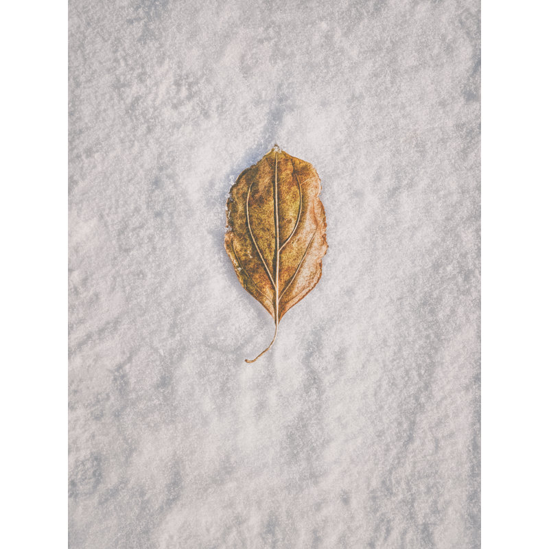 Clash Of Seasons Print by Scott Norris, 21.25" H x 17.25" W