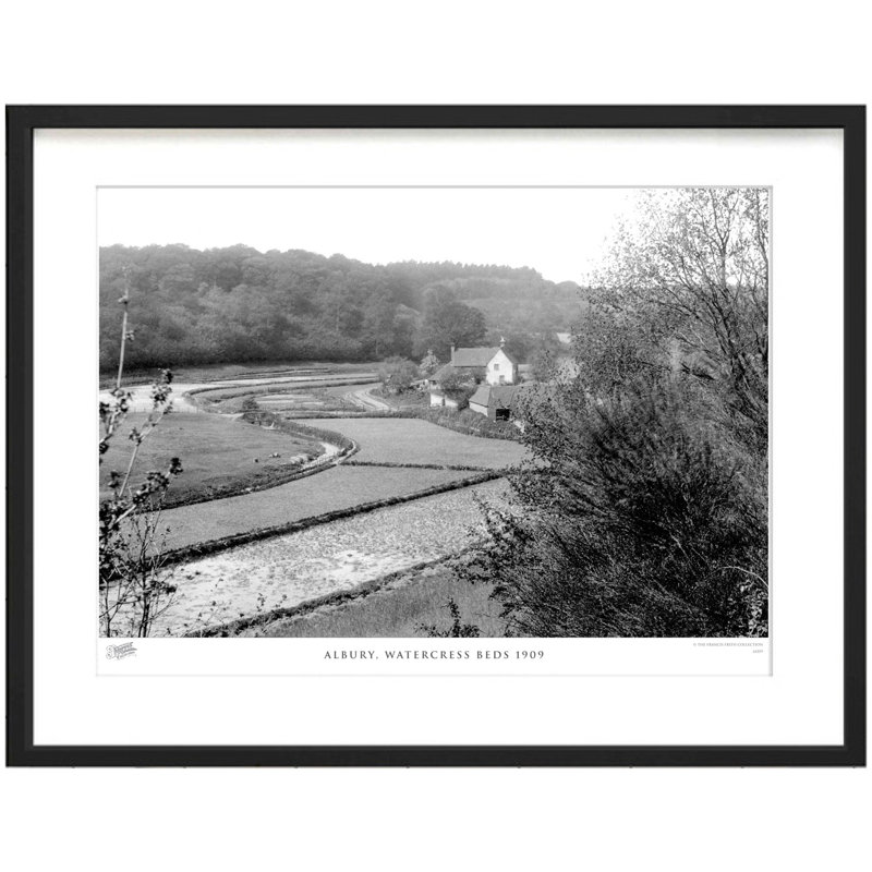 Albury, Watercress Beds 1909 by Francis Frith - Single Picture Frame Print, 28cm H x 36cm W x 2.3cm D