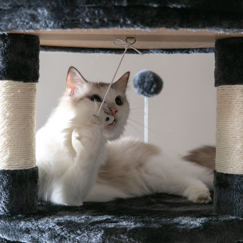 Cellestine 68.1'' H Cat Tree, Dark Grey