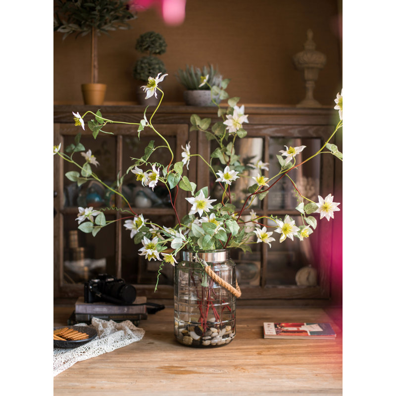 Tige de clematis allemande, Blanc