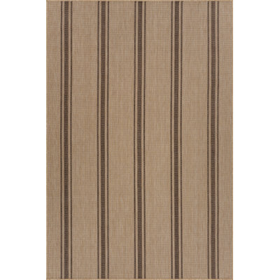  Tapis rayé intérieur / extérieur Elyria