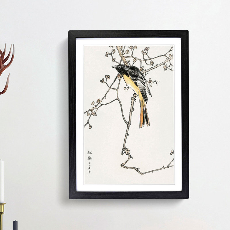 Siberian Blue-Tail Bird by Numata Kashu - Picture Frame Painting Print, Black, 50cm H x 35cm W x 2cm D