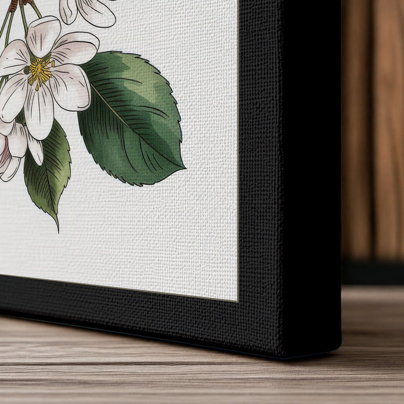 Apple Blossom Study Botanical 1 Piece Wrapped Canvas Wall Art, 30x20 - 76.2 x 50.8 cm, Black Border