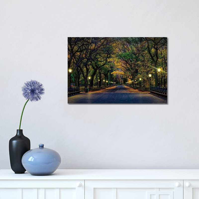 Central Park Magic by David Gardiner - Print on Canvas, 30.48cm H x 45.72cm W x 1.91cm D, Wrapped Canvas