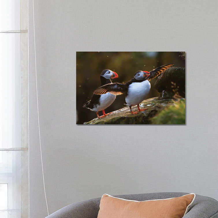 Puffins by Mateusz Piesiak - Wrapped Canvas Gallery-Wrapped Canvas Giclée