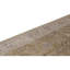 Oriental Area Rug in Gold