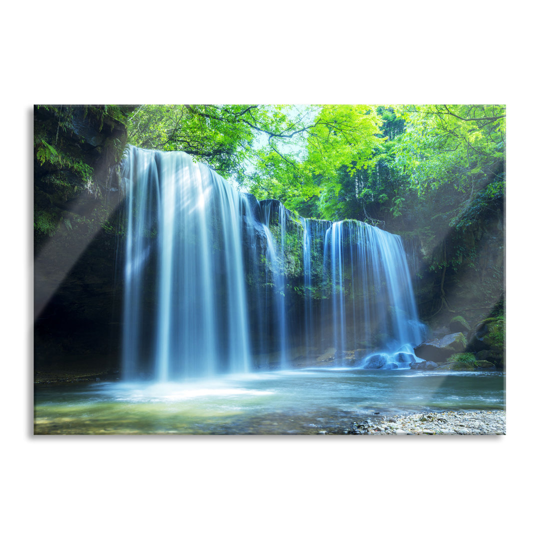 Glasbild Tropischer Wasserfall im Wald