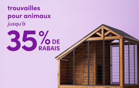 trouvailles pour animaux en solde