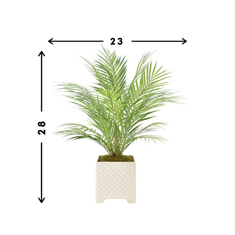 Akeyah Faux Palm Plant in Fiberstone Pot
