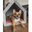 Ecological Hut Pet Cage-66049271-66049272