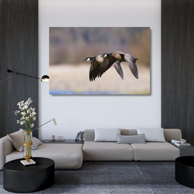 Latitude Run® Archer, Ken Gallery Wrapped Canvas Art Titled: Lesser Canada Geese Flying Past
