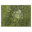 Polyester abstrait tissé à la machine intérieur / extérieur Tinatin en vert-107212645