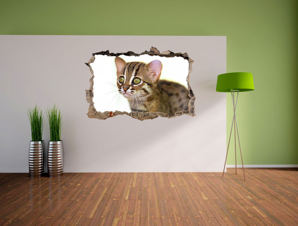 Niedliche marmorierte Katze Wandsticker