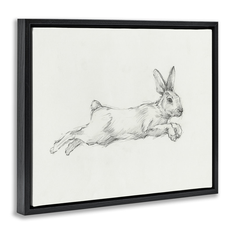 Art mural sur toile flottant, "Saut de lapin" par Ethan Harper, Cadre flottant noir de jais, H 17 po x l 21 po
