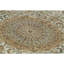 Oriental Area Rug