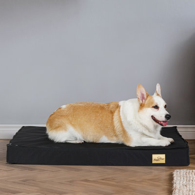 Deanesha Orthopedic Pet Bed