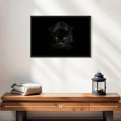 Rare Black Panther