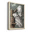 Audubons Snowy Owl - impression sur toile tendue-893079287