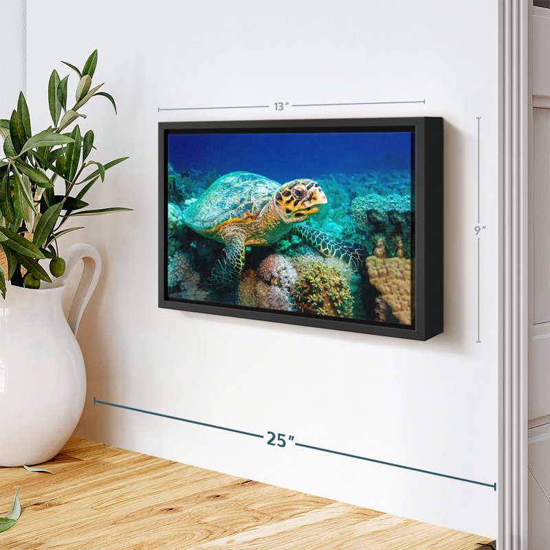 Turtle Underwater Reef Canvas Print, 9" H x 13" W