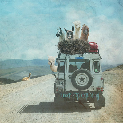 " Alpaca Lama Wanderlust "