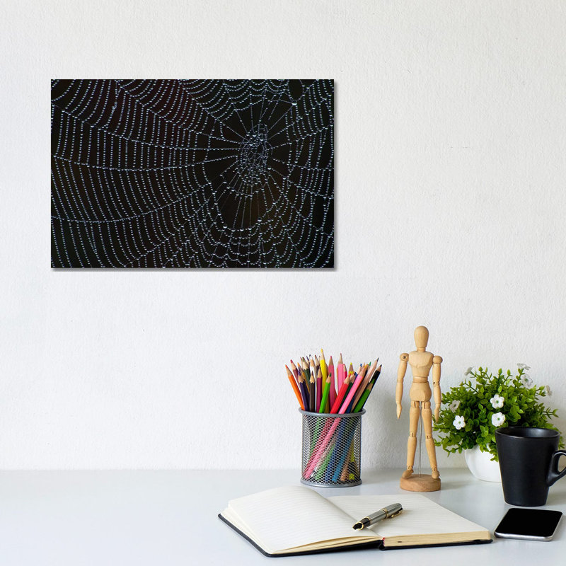 Spider's Web With Morning Dew by Brian Wolf - Wrapped Canvas Print, 20.32cm H x 30.48cm W x 1.91cm D