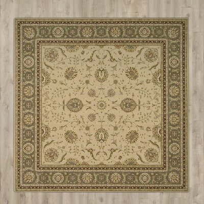 Foland Machine Woven Green/Beige Area Rug -  Darby Home Co, DABY2249 38694259