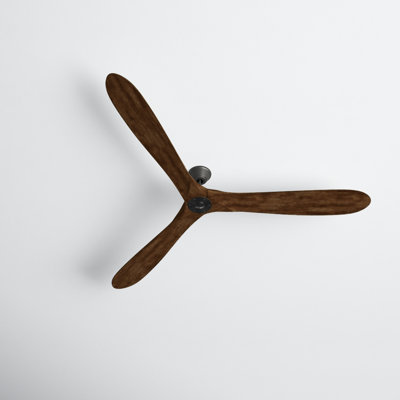 Obsidian Ceiling Fan