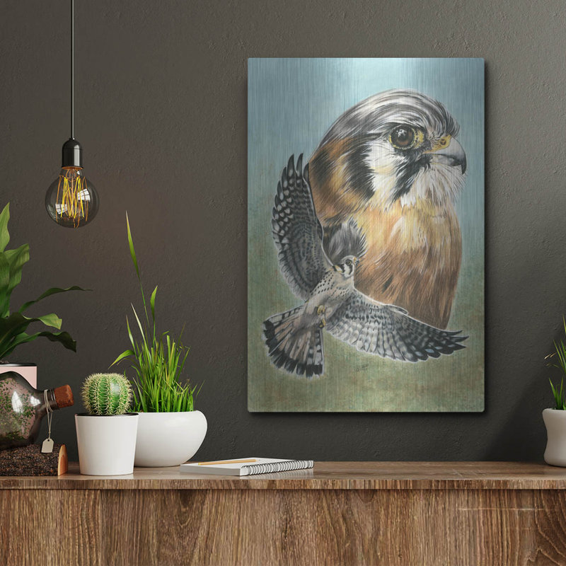 «American Kestrel» par Barbara Keith, H 16 po x l 12 po