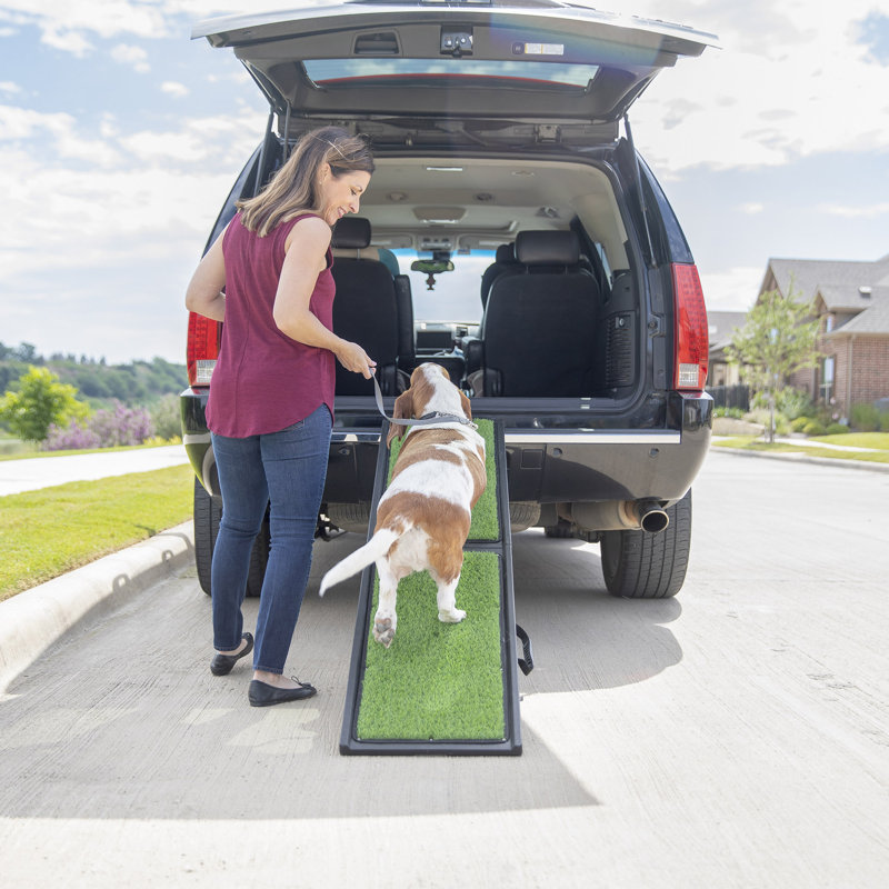 Zenobia Collapsible Ramp