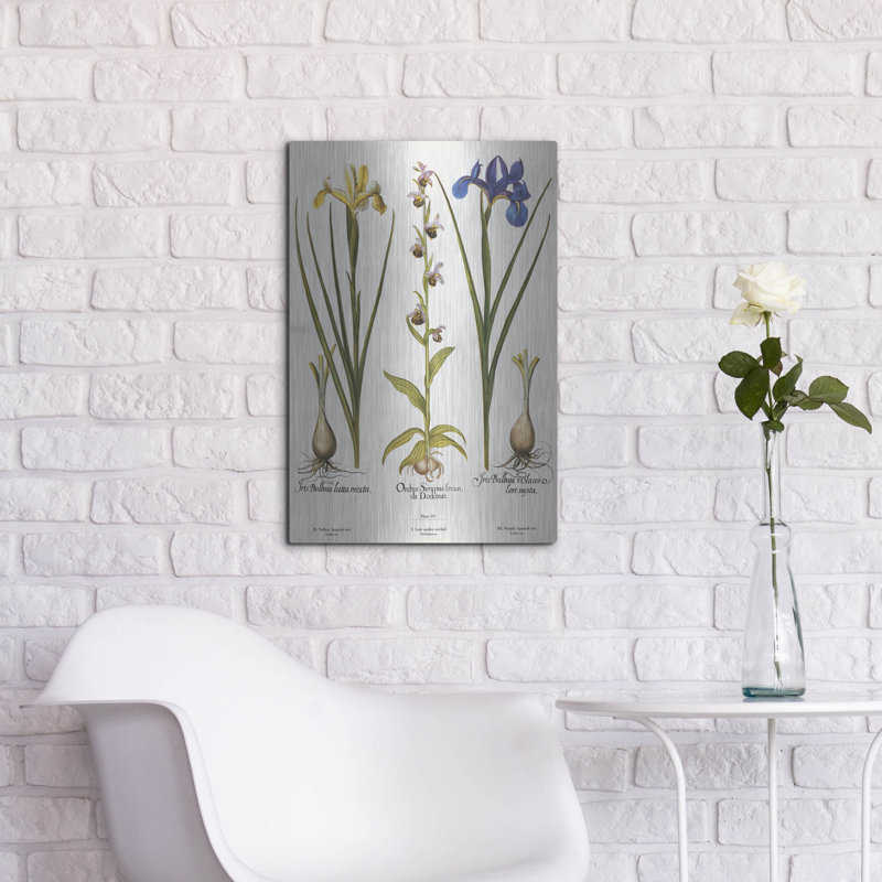 «Orchids» par Art Licensing Studio, art mural en métal Luxe, 16 po x 24 po