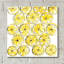 «Cut Lemons IV» par Chris Paschke-1446023971